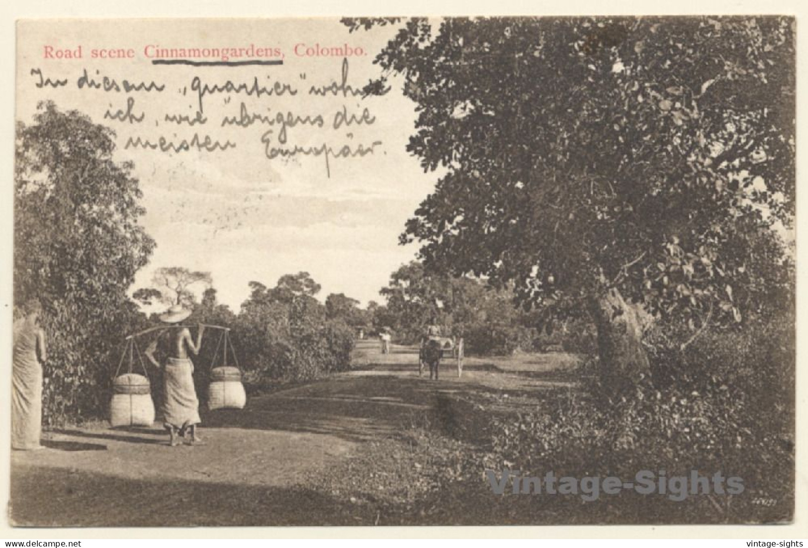 Colombo / Sri Lanka - Ceylon: Road Scene Cinnamongardens (Vintage PC 1909) - Sri Lanka (Ceylon)