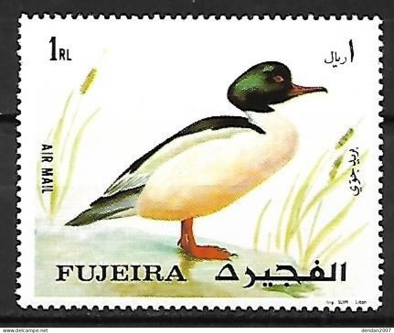 Fujeira - MNH ** 1972 :    Common Merganser  -  Mergus Merganser - Canards