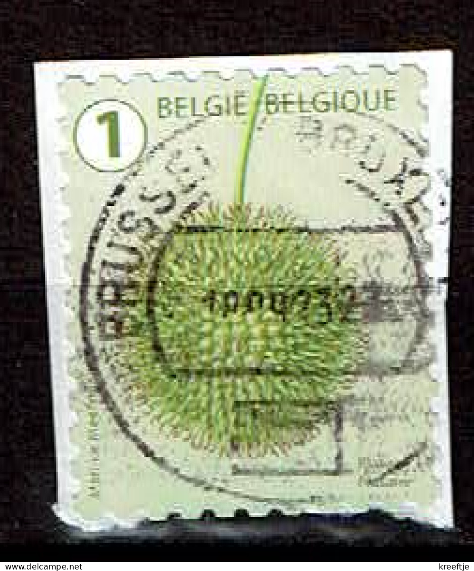 België / Belgique / Belgium / Belgien Plataan 2021 (OBP 5028 ) - Gebraucht