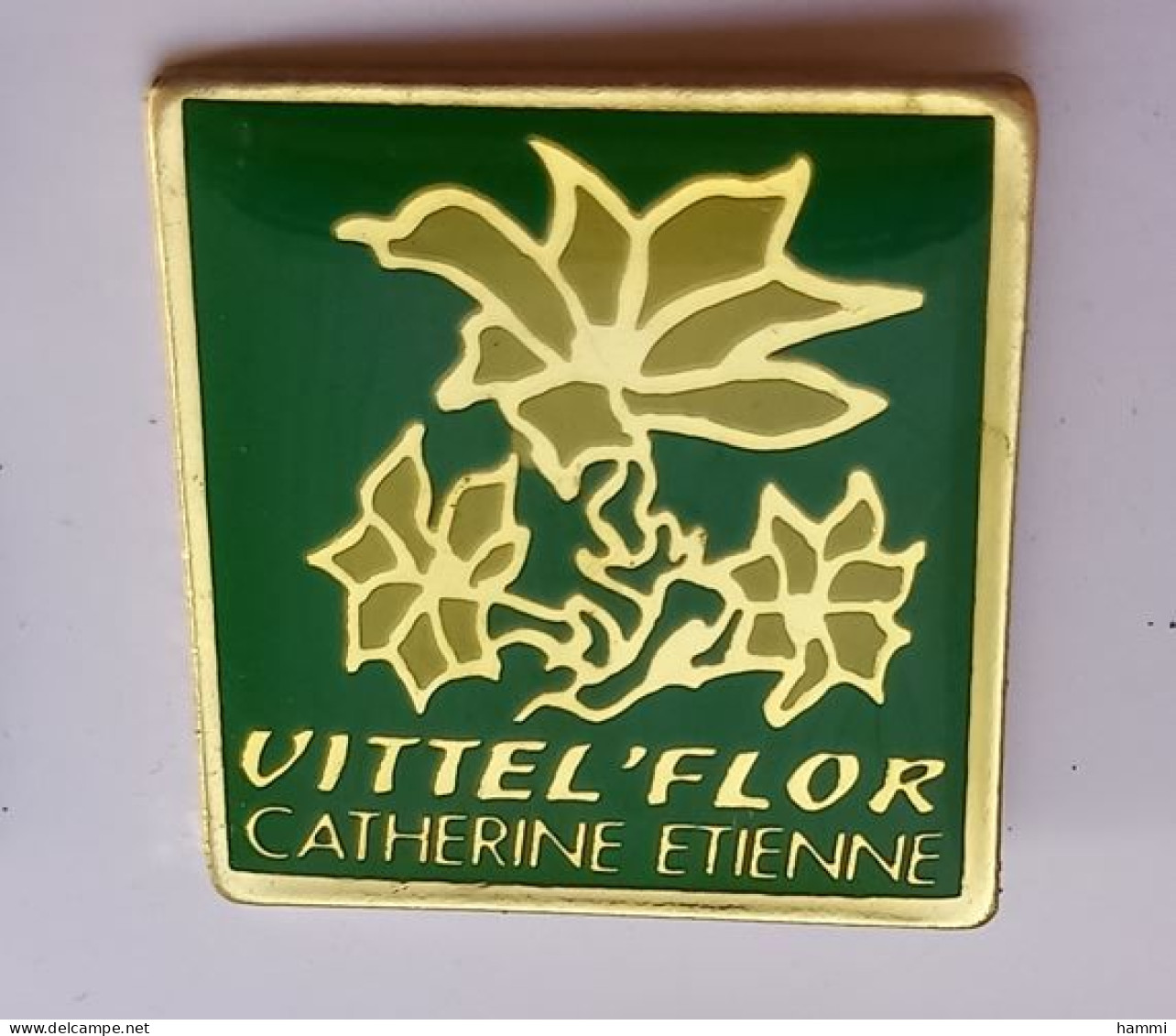 N410 Pin's VITTEL Vittel'flore Catherine Etienne Vosges Fleur Fleuriste Achat Immédiat - Villes