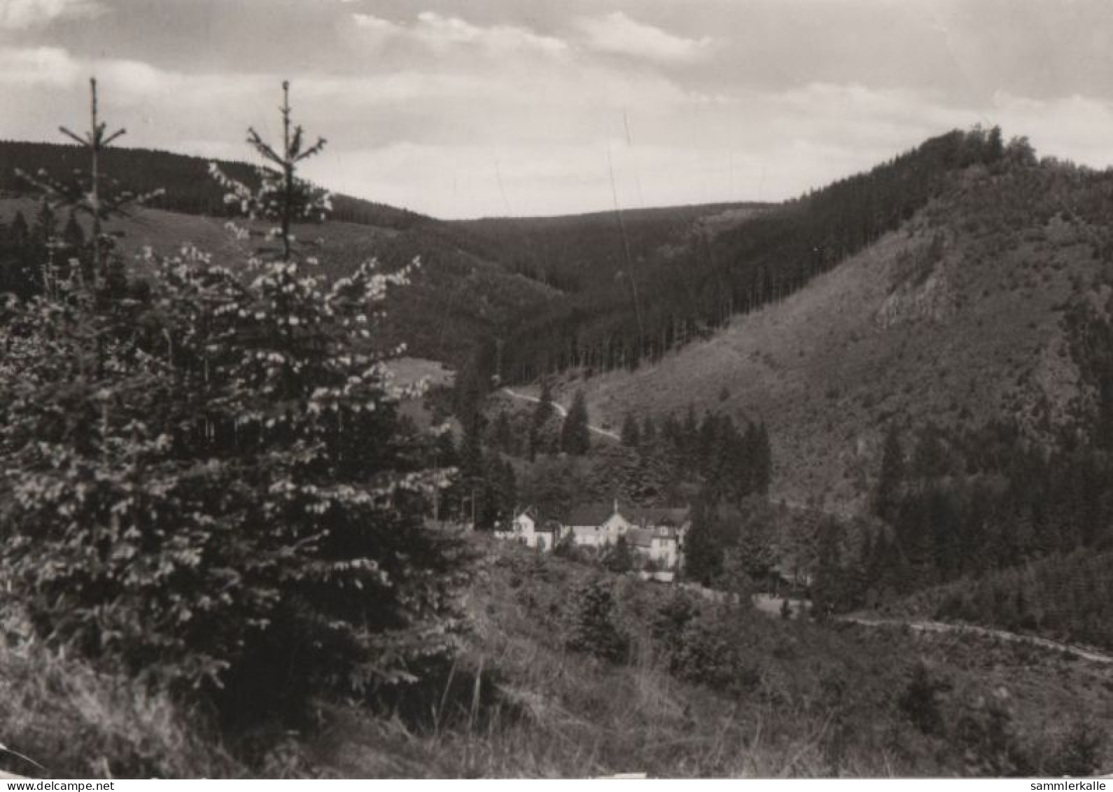 80553 - Friedrichroda - Kühles Tal Mit Schauenburg - 1982 - Friedrichroda