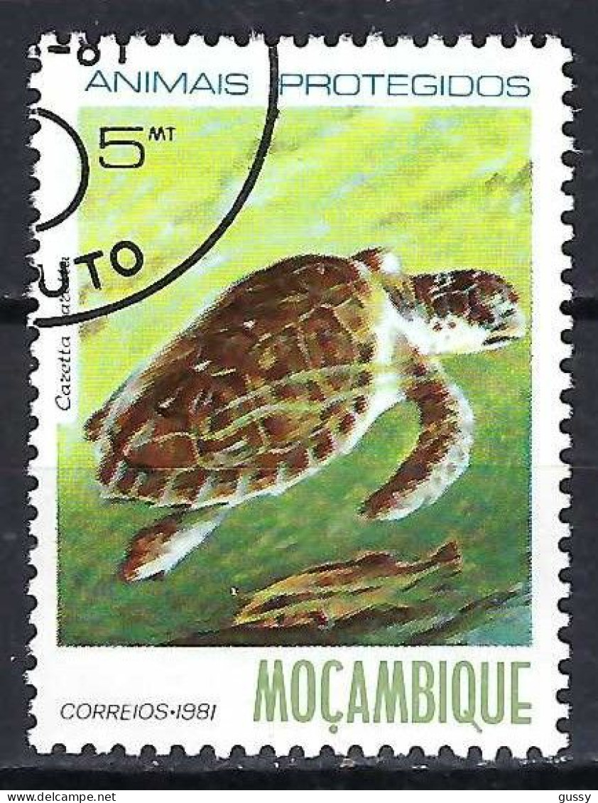 MOZAMBIQUE Ca.1981: Obl. "TORTUE" - Turtles