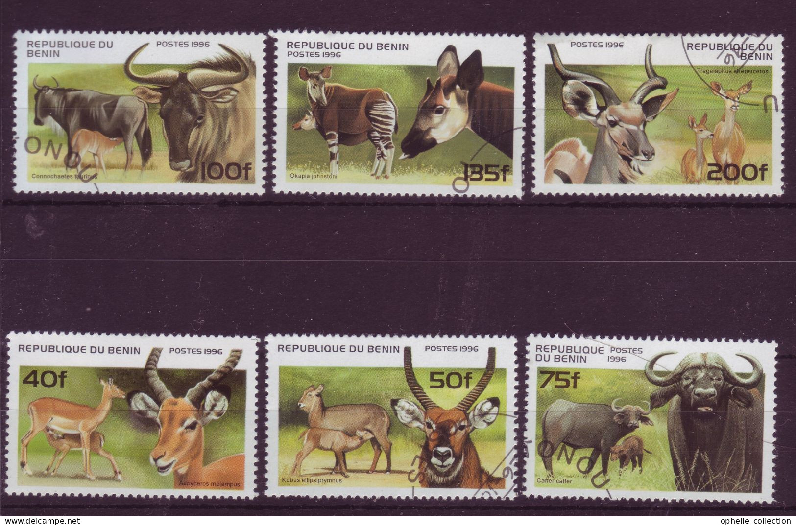 Afrique - Bénin - Faune - 6 Timbres Différents - 6906 - Benin - Dahomey (1960-...)