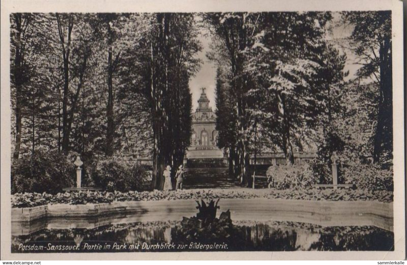 34312 - Potsdam - Sanssouci, Partie Im Park - Ca. 1950 - Potsdam