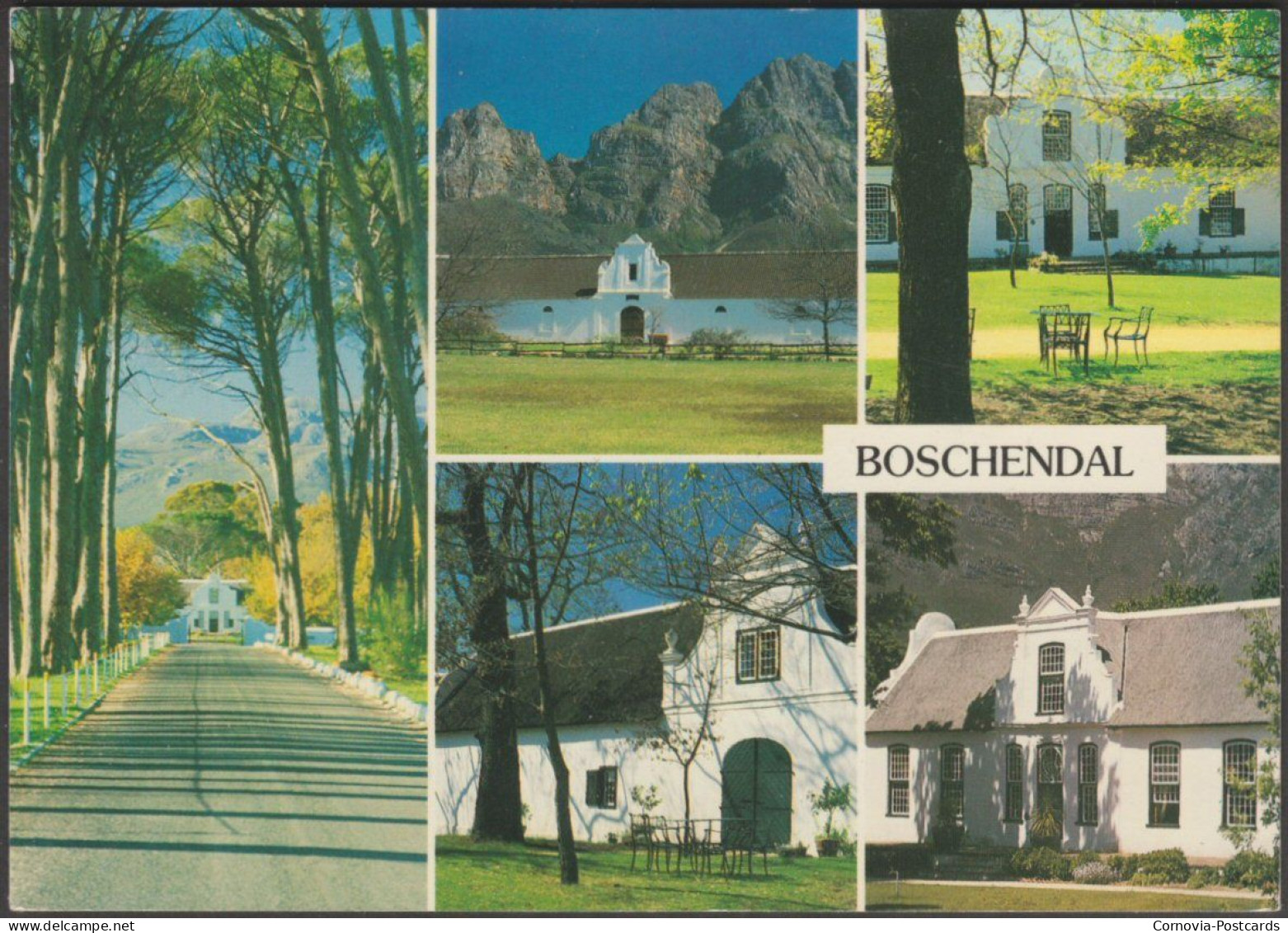 Boschendal, Cape Province, 1993 - Wayron Postcard - Afrique Du Sud