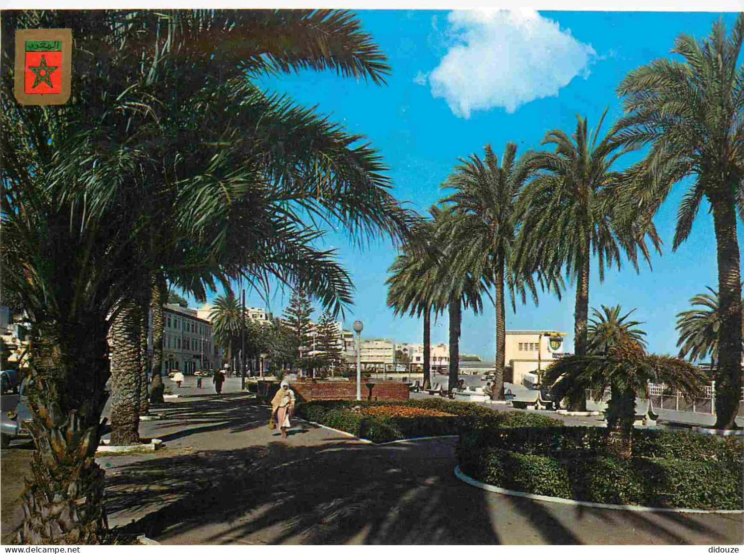 Maroc - Tanger - Avenue D'Espagne - CPM - Carte Neuve - Voir Scans Recto-Verso - Tanger