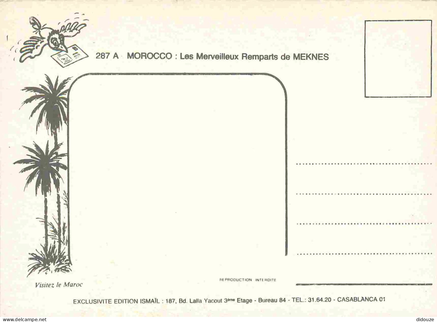 Maroc - Meknès - Les Remparts - Vue De Nuit - CPM - Carte Neuve - Voir Scans Recto-Verso - Meknès