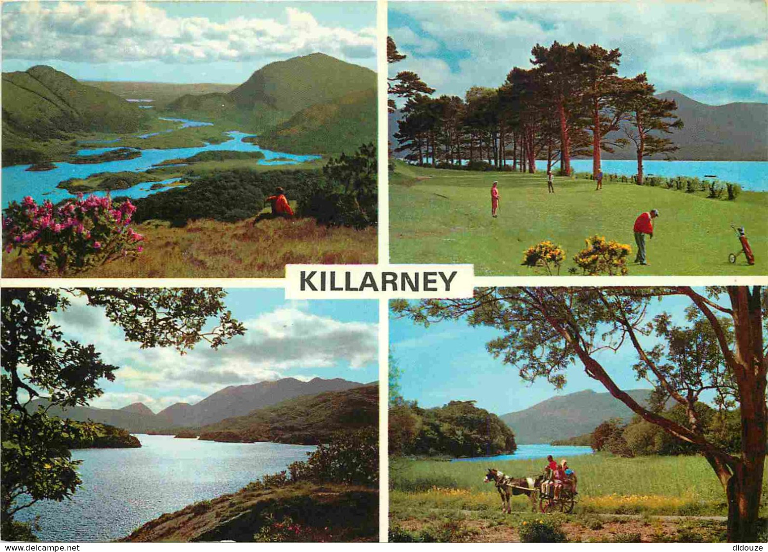 Irlande - Kerry - Killarney - Multivues - Golf - CPM - Carte Neuve - Voir Scans Recto-Verso - Kerry