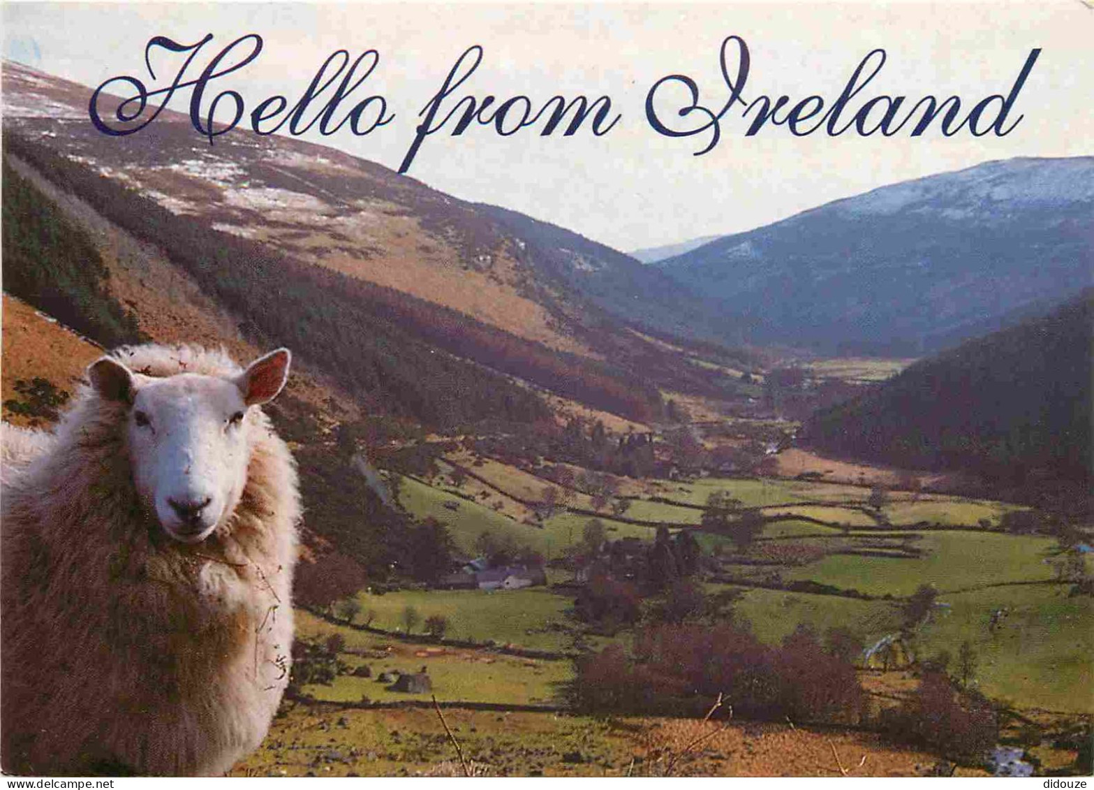 Irlande - Beauty Of Ireland's Landscape - Moutons - John Hinde Card - CPM - Voir Scans Recto-Verso - Otros & Sin Clasificación