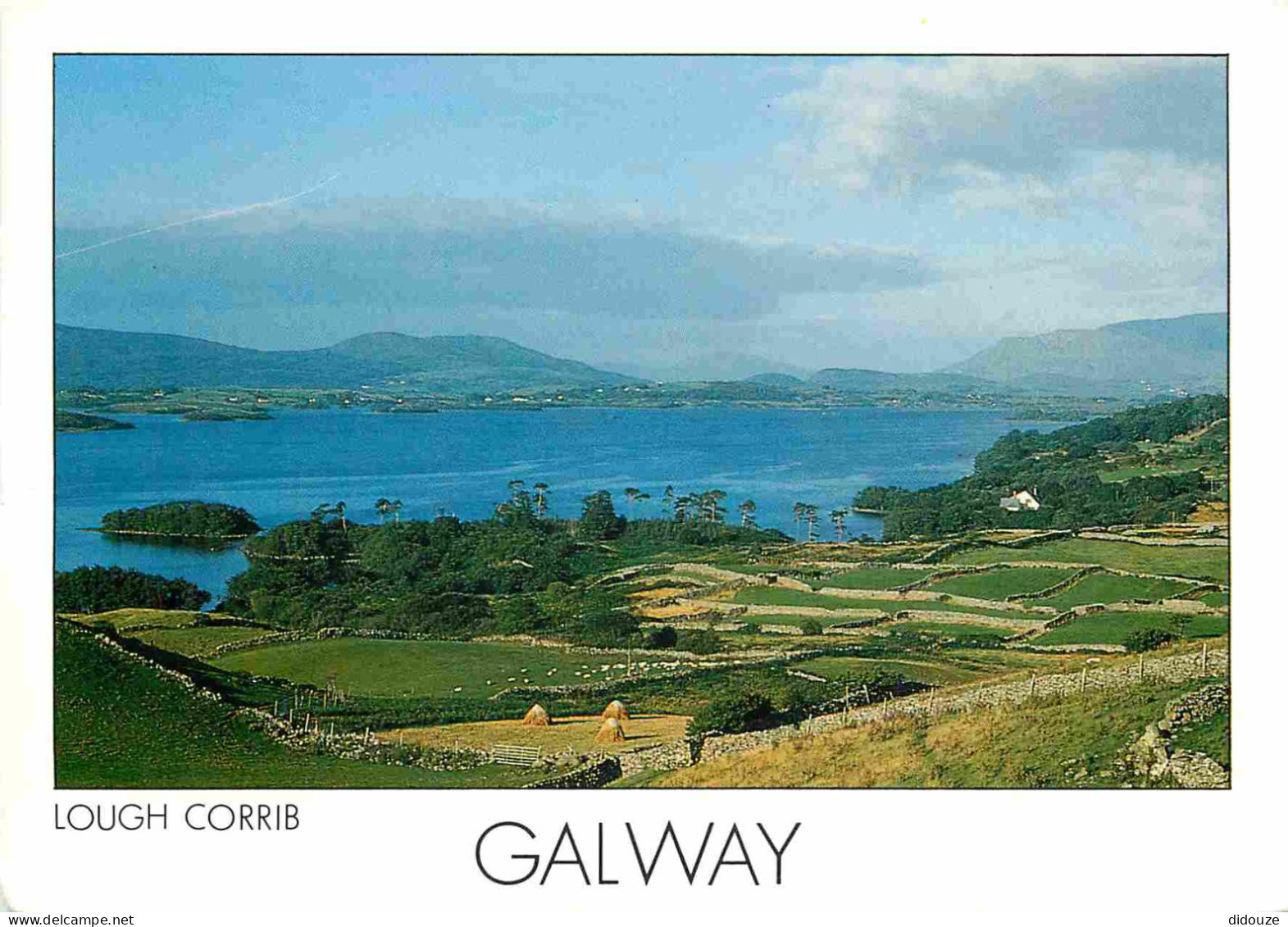 Irlande - Galway - Lough Corrib - CPM - Voir Scans Recto-Verso - Galway