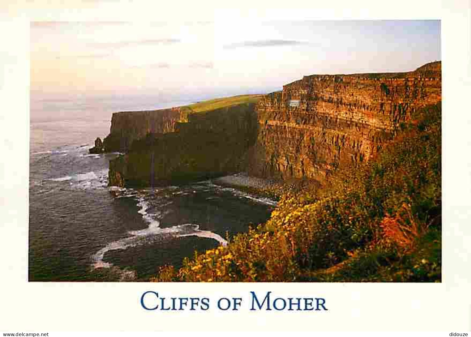 Irlande - Clare - The Cliffs Of Moher - CPM - Voir Scans Recto-Verso - Clare