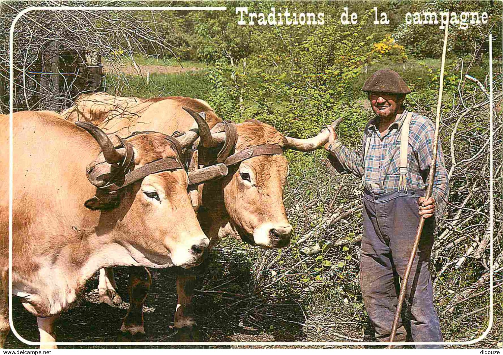 Animaux - Vaches - Traditions De La Campagne - Travail Des Champs Avec Un Attelage De Bœufs - Paysans - Carte Gauffrée - - Koeien