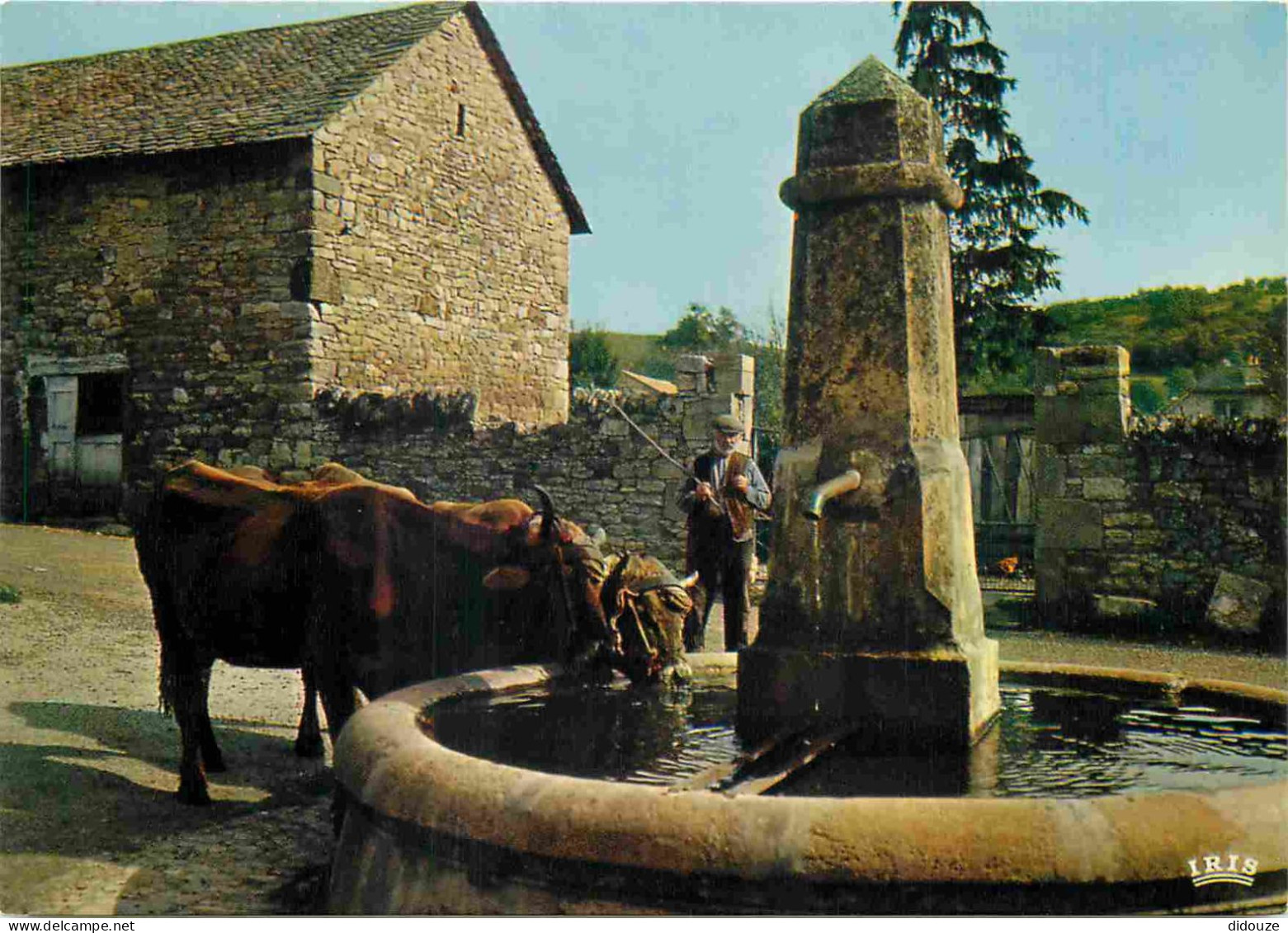 Animaux - Vaches - A Travers Nos Campagnes Un Vieil Abreuvoir - CPM - Carte Neuve - Voir Scans Recto-Verso - Cows