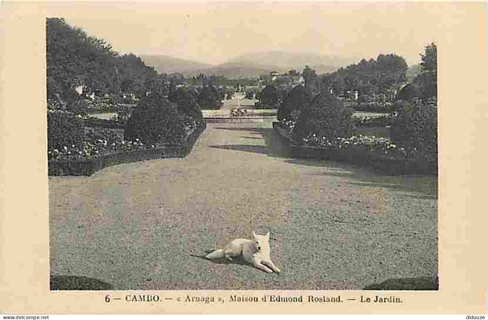 64 - Cambo Les Bains - Arnaga - Maison D'Edmond Rostand - Le Jardin - Chien Loup - Carte Neuve - CPA - Voir Scans Recto- - Cambo-les-Bains