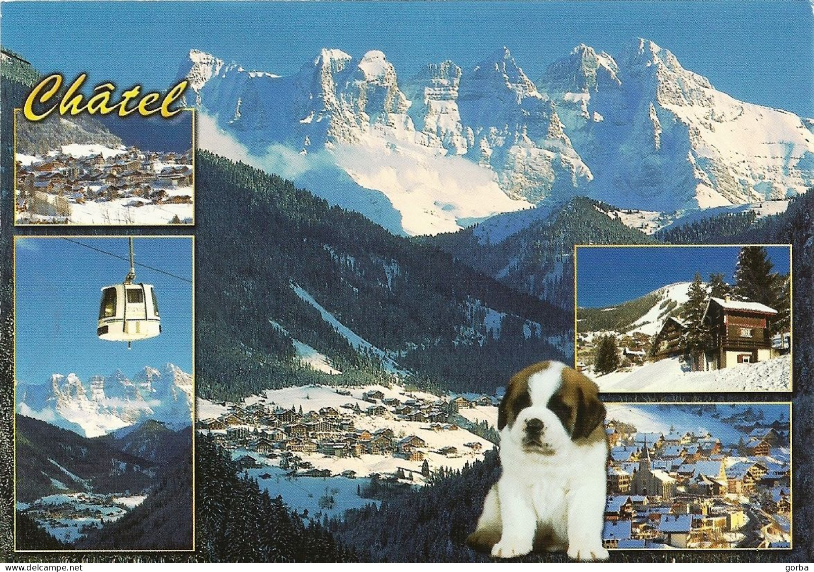 *CPM - 74 - CHATEL - Le Chablais Aux Portes Du Soleil - Multivues - Chiot St Bernard - Châtel