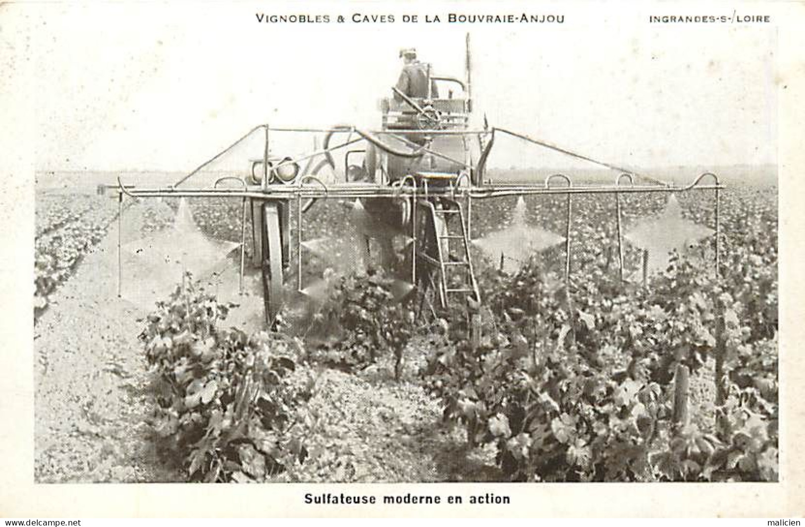 - Thèmes Div -ref-V V724- Agriculture -vignobles De La Bouvraie Anjou- Sulfateuse Moderne En Action - Vignes - Tracteurs - Traktoren
