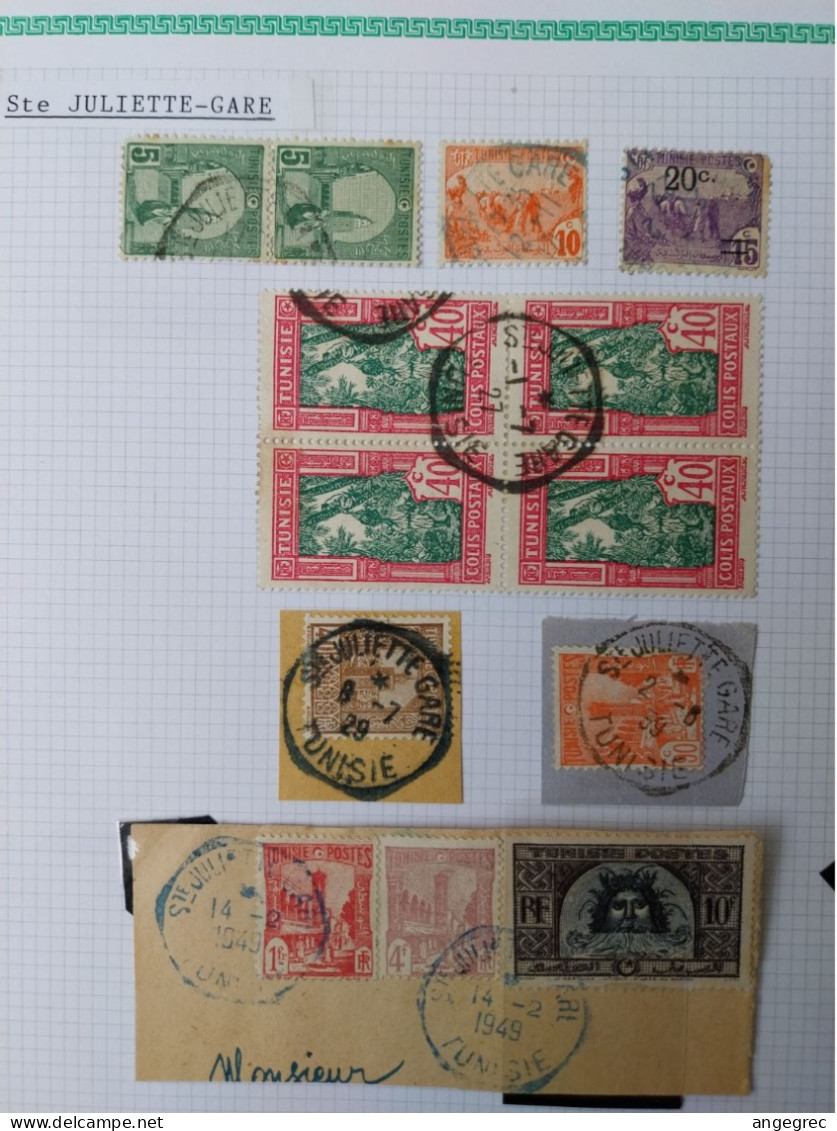 Tunisie Lot Timbre Oblitération Choisies  Ste Juliette Gare  Dont Fragment    Voir Scan - Used Stamps