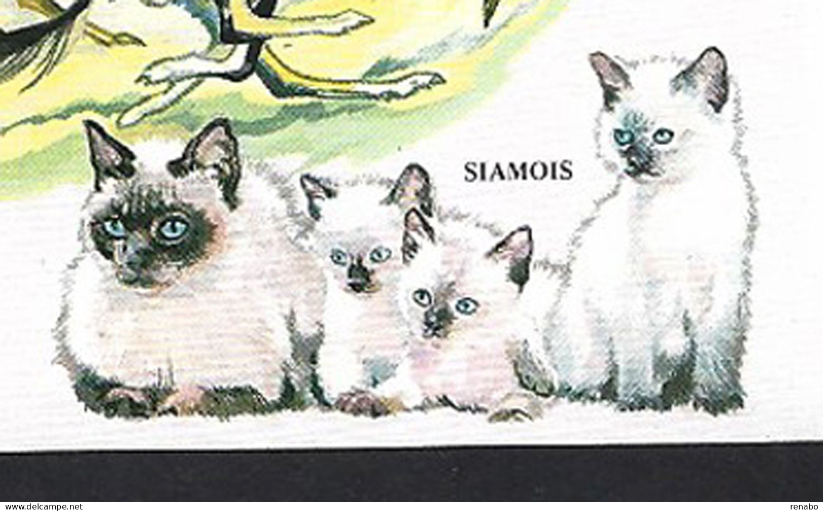 Rep. Malagasy 1991: S/s Himalayan With Persian+ Tortoiseshell With Abyssinian And Butterfly+ S/s With Siamese;IMPERFORAT - Gatti