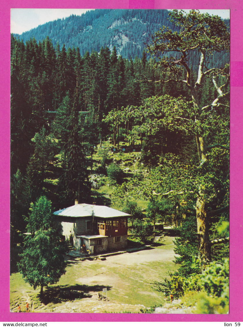 310867 / Bulgaria - Smolyan - Hotel "Chudni Mostove" Hut In The Vicinity Of Smolyan 1983 PC Bulgarie Bulgarien - Bulgaria