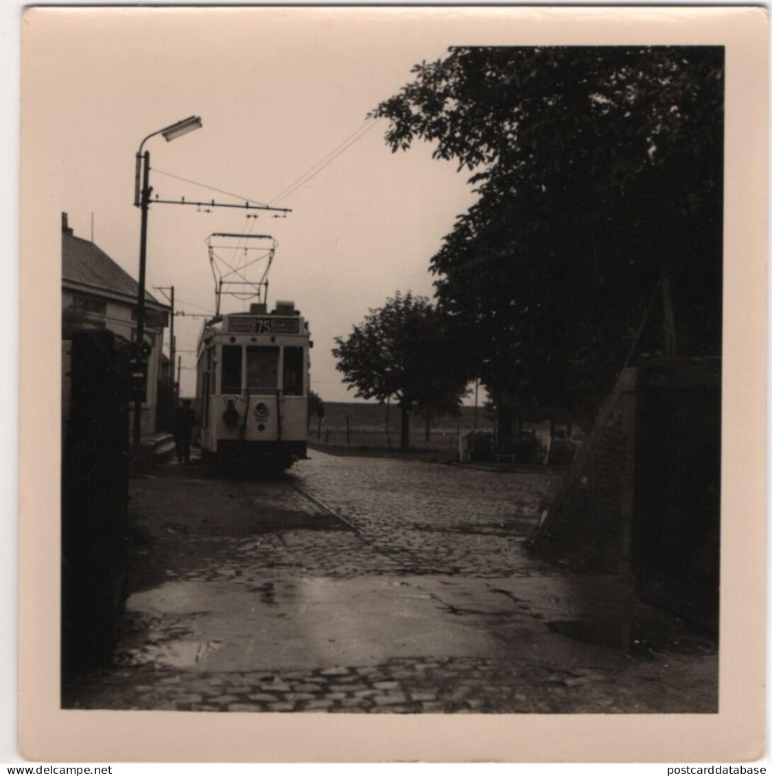 Tram - Antwerpen 1957 - Photo - & Tram - Trains