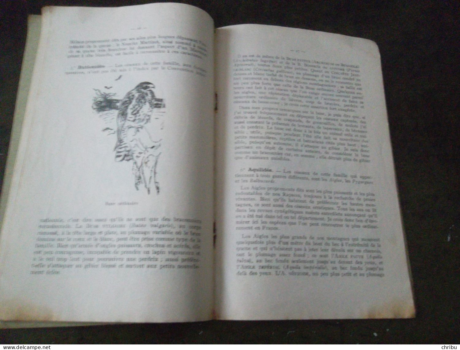 NOS OISEAUX BRACONNIERS ET LEUR CHASSE AU GRAND-DUC PAR E. PETIT 1928 - Fischen + Jagen