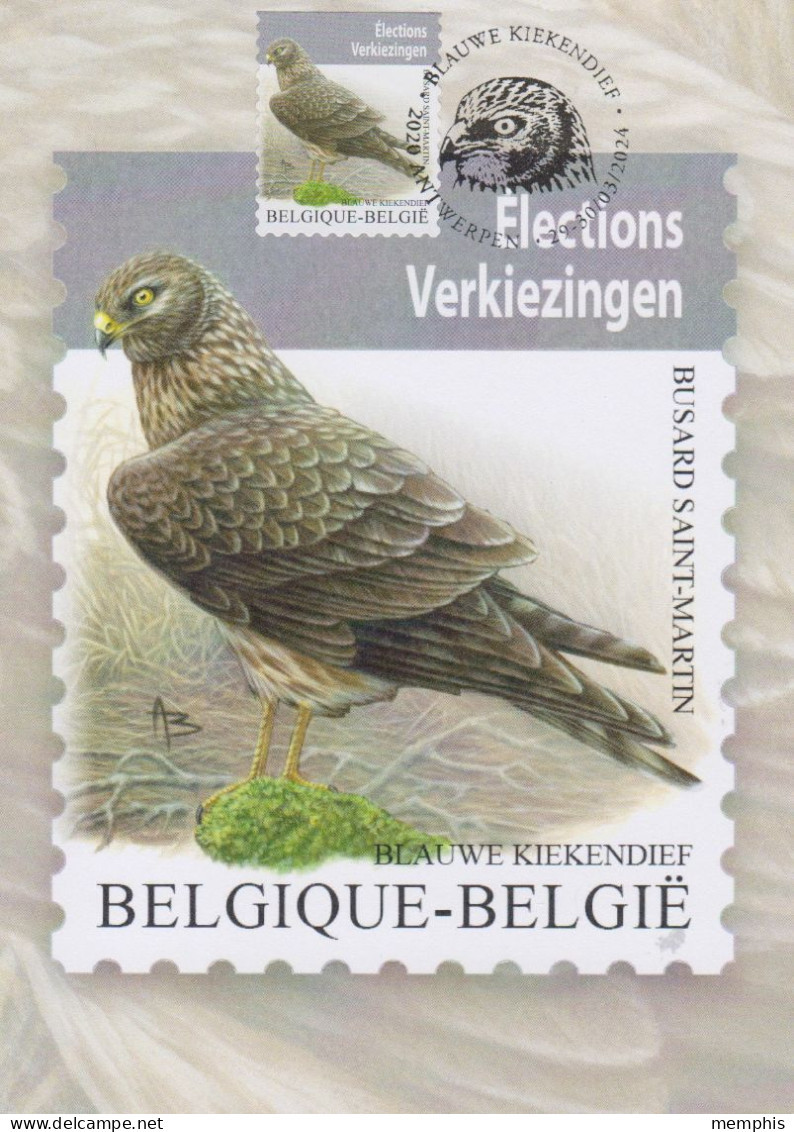 Maximumkaart Bpost "Blauwe Kiekendief" Met Zegel En Stempel Voorverkoop "Antwerpen" 29/30-03-2024 - 1985-.. Oiseaux (Buzin)