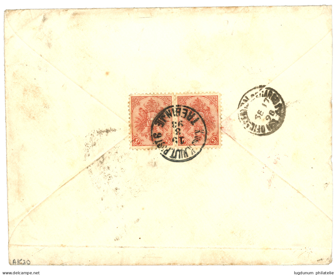 BOSNIA - Destination ARGENTINA : 1893 Pair 5k Canc. K.u.K MILIT. POST  TREBINJE On Reverse Of Envelope (slightly Shorten - Bosnien-Herzegowina