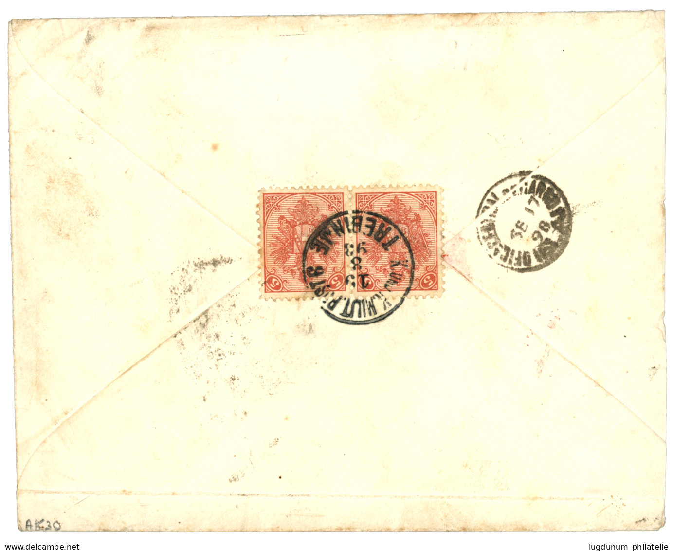 BOSNIA - Destination ARGENTINA : 1893 Pair 5k Canc. K.u.K MILIT. POST  TREBINJE On Reverse Of Envelope (slightly Shorten - Bosnie-Herzegovine