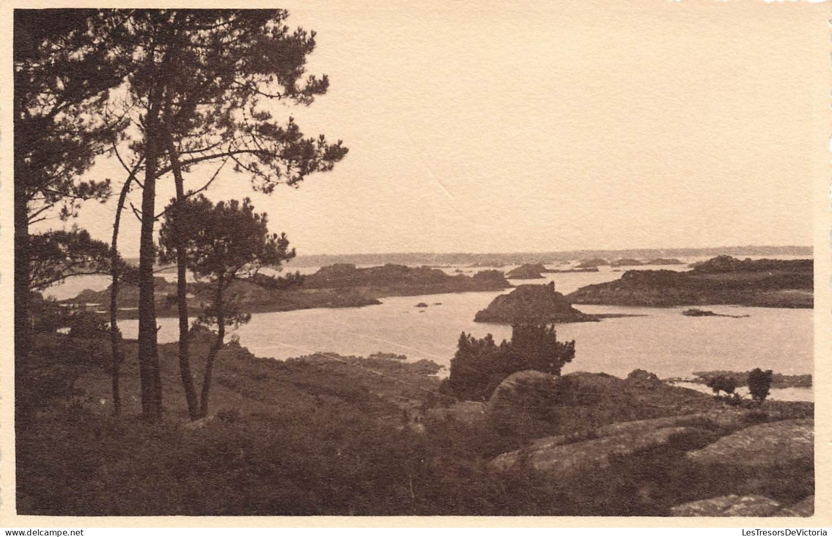 FRANCE - Ile De Bréhat - Vue Sur La Mer - Le Bord - Rochers - Vue Générale - Carte Postale Ancienne - Ile De Bréhat