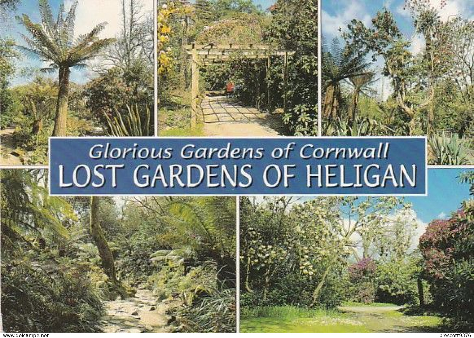 Lost Gardens Of Heligan - Multiview - Cornwall - Unused Postcard - Cor2 - Autres & Non Classés