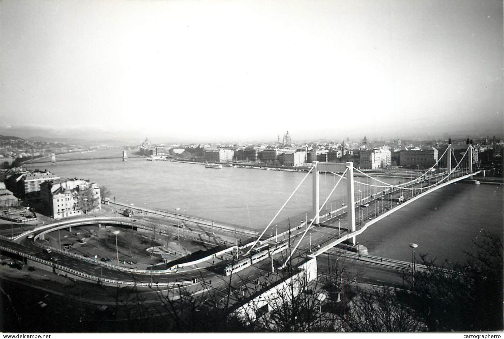 Hungary Budapest Danube And Elizabeth Bridge - Hongrie