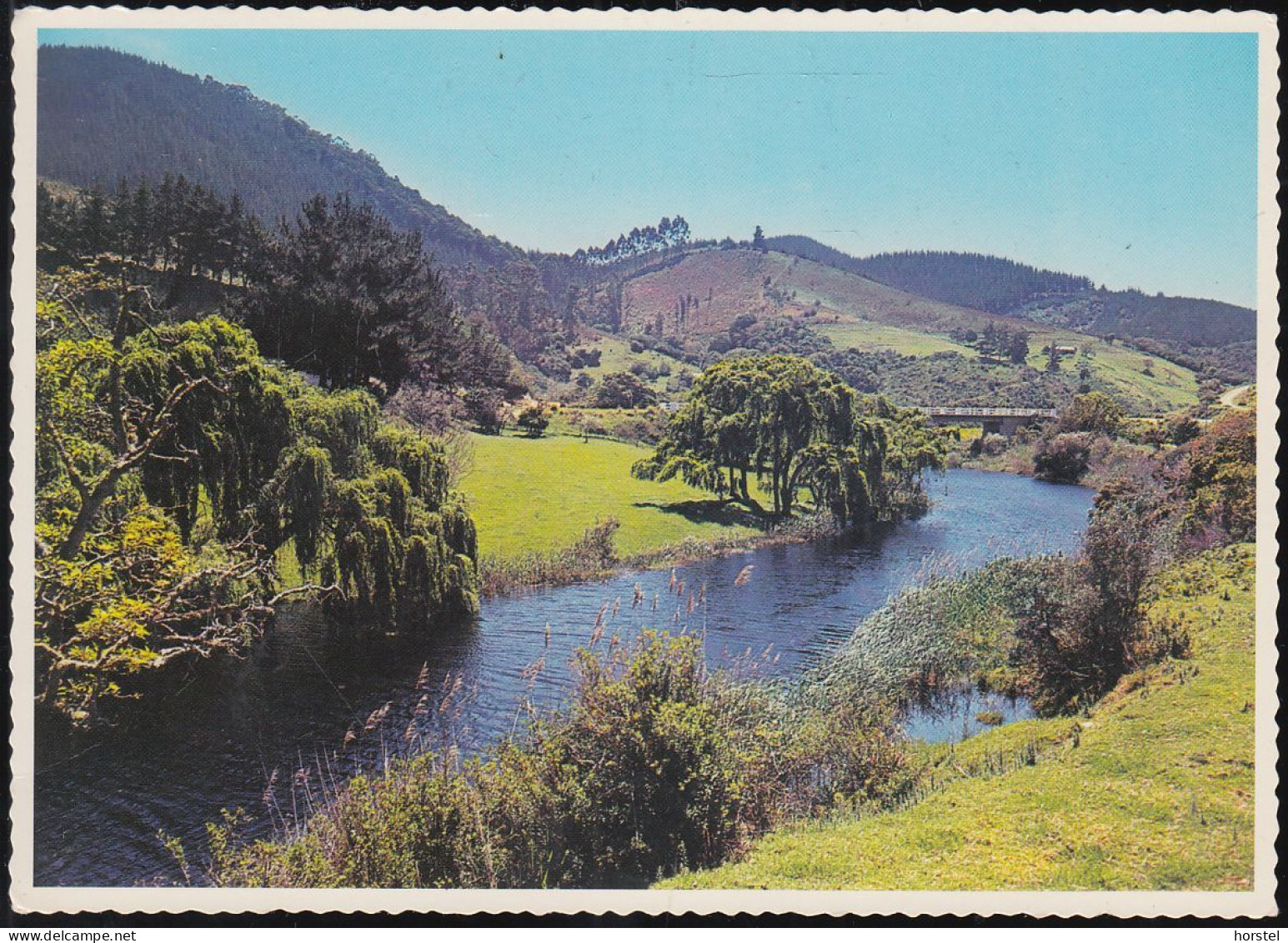 South Africa - Cape Province - Nice Landscape - Südafrika