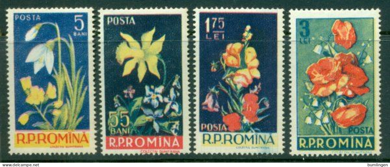 ROMANIA 1956 Mi 1589-92** Flowers [B724] - Sonstige & Ohne Zuordnung
