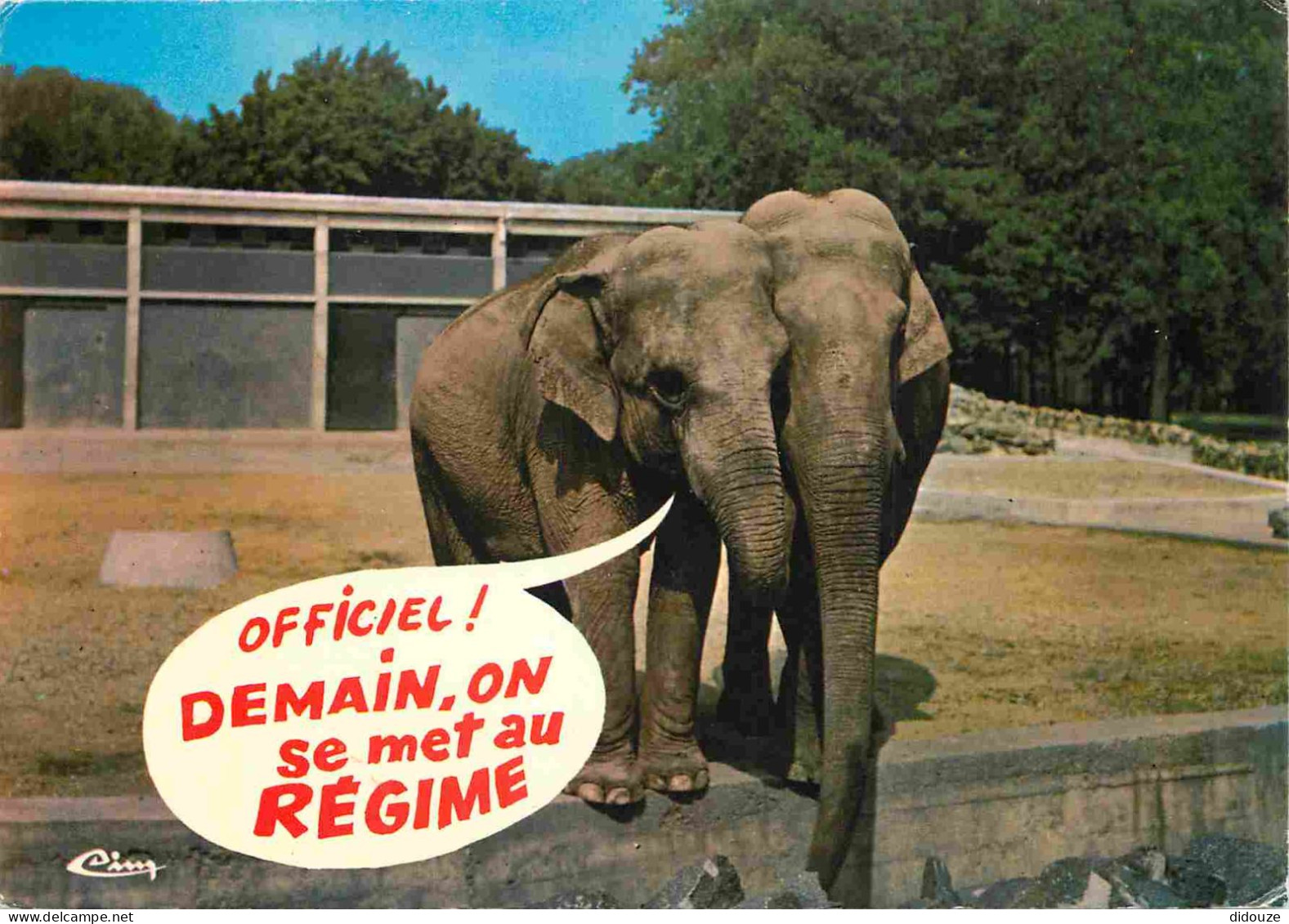 Animaux - Eléphants - CPM - Voir Scans Recto-Verso - Elephants