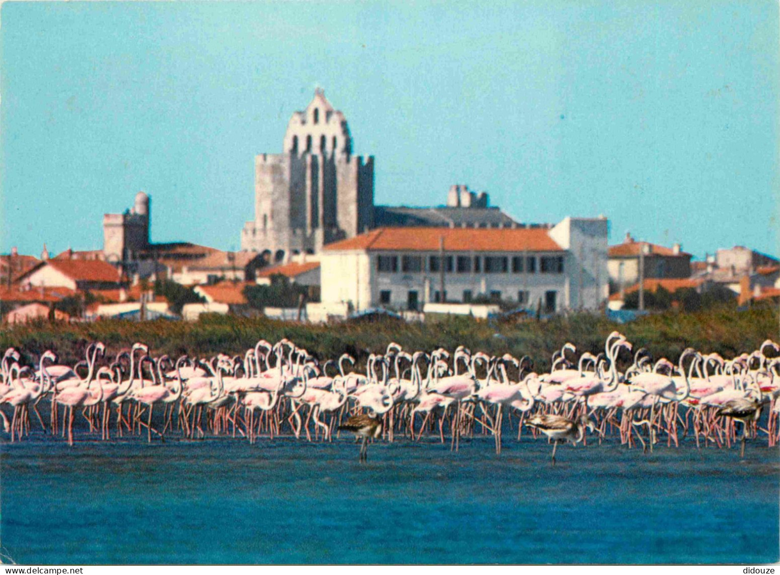 13 - Les Saintes Maries De La Mer - Flamants Roses - CPM - Voir Scans Recto-Verso - Saintes Maries De La Mer