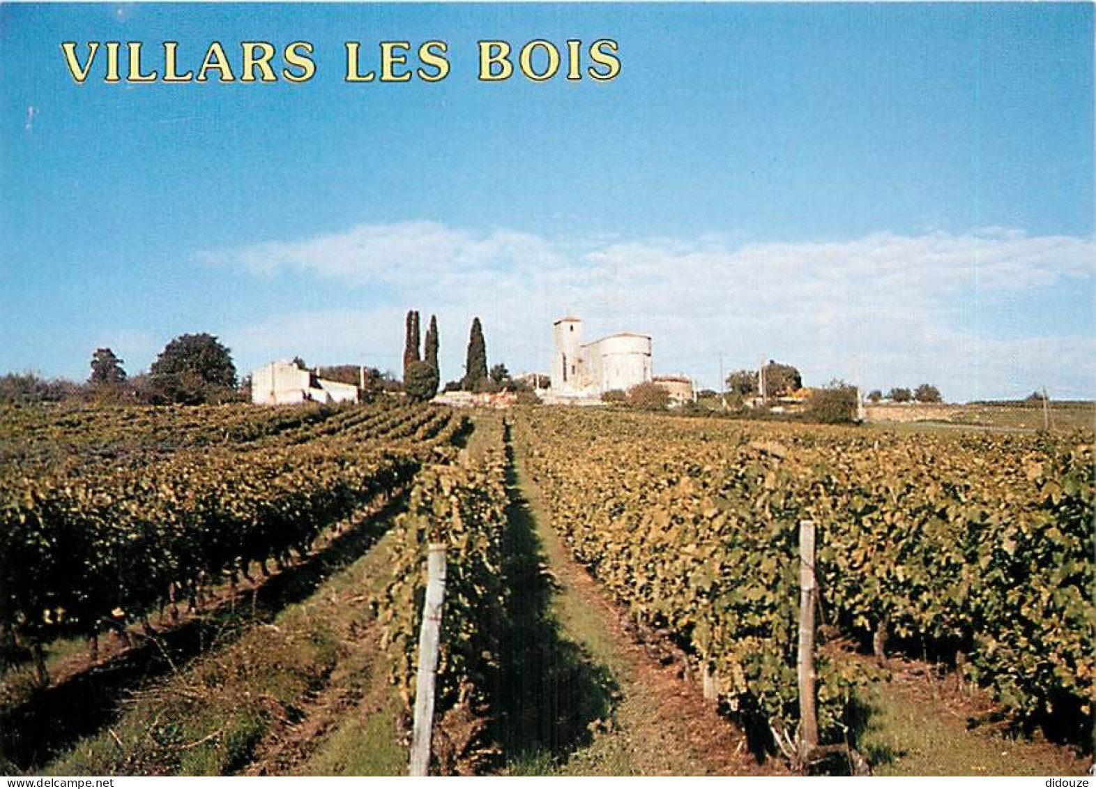 Vignes - Villars Les Bois - Le Vignoble Du Cognac - L'Eglise De Villars - CPM - Carte Neuve - Voir Scans Recto-Verso - Vignes