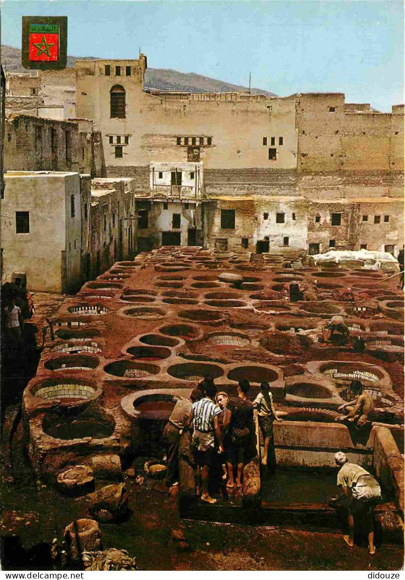 Maroc - Fez - Fès - Les Teinturiers - Dyers - CPM - Carte Neuve - Voir Scans Recto-Verso - Fez