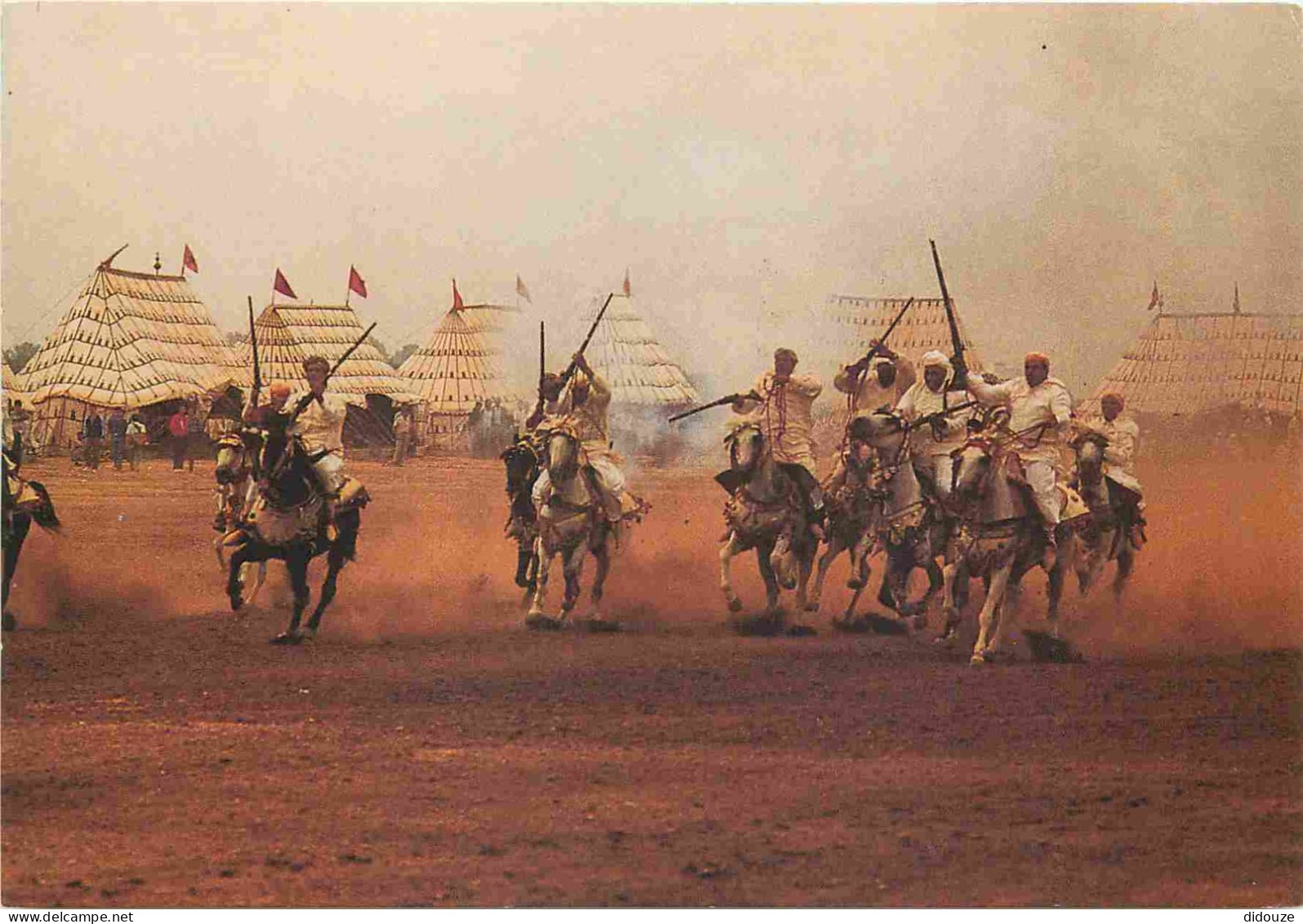 Maroc - Fez - Fès - La Fantasia - Chevaux - CPM - Carte Neuve - Voir Scans Recto-Verso - Fez