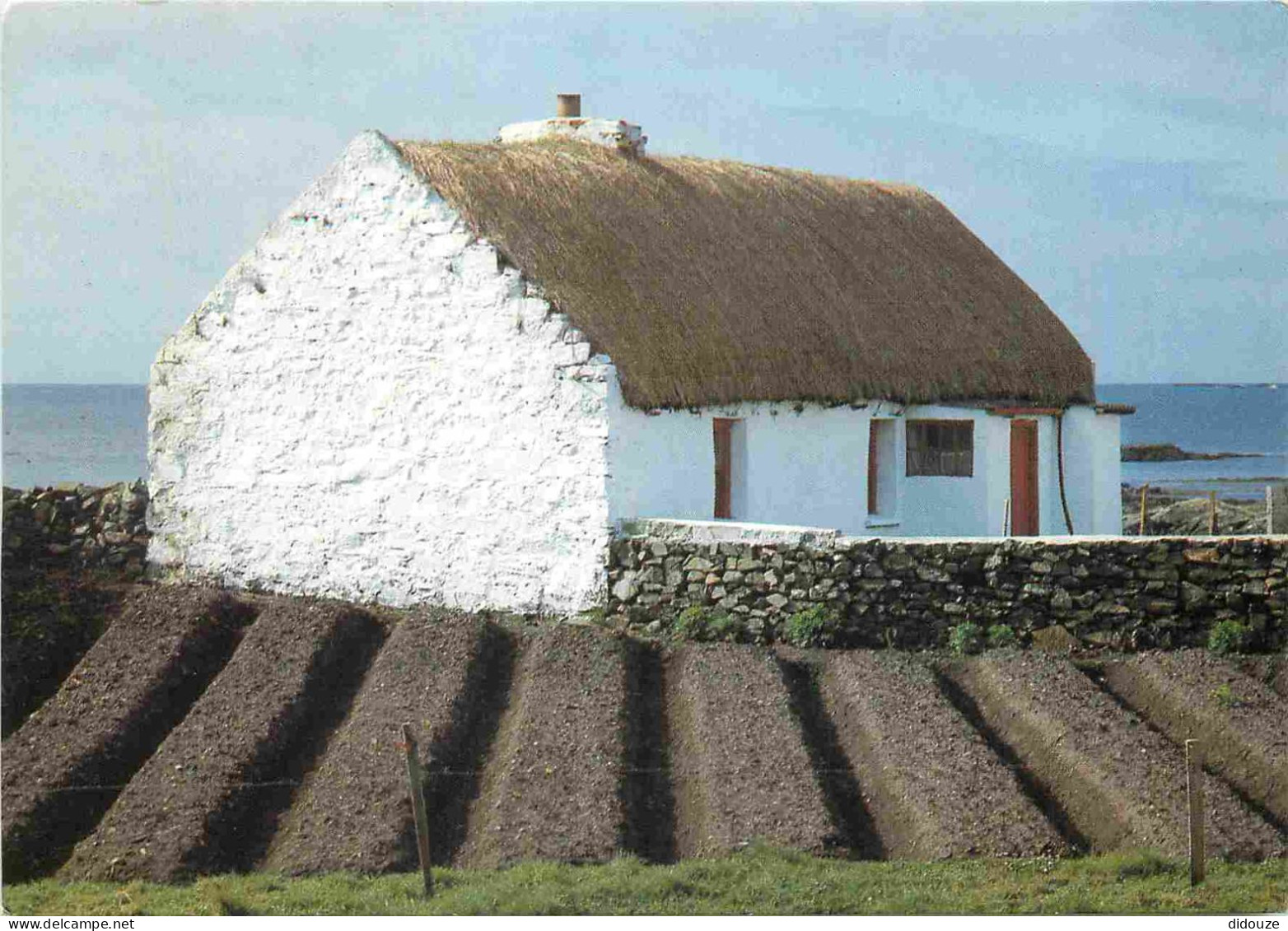 Irlande - Irish Thatched Cottage And Potato Lazy Beds - 602 - Irish Country Life Card - CPM - Voir Scans Recto-Verso - Sonstige & Ohne Zuordnung