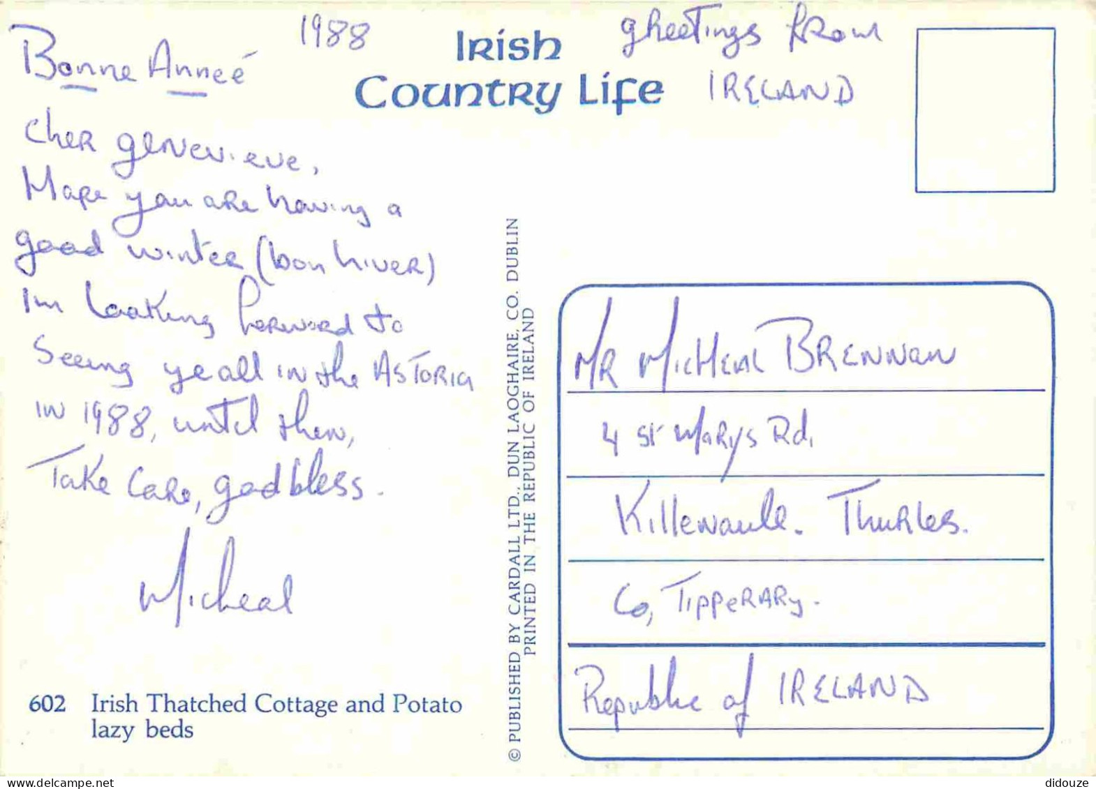 Irlande - Irish Thatched Cottage And Potato Lazy Beds - 602 - Irish Country Life Card - CPM - Voir Scans Recto-Verso - Altri & Non Classificati