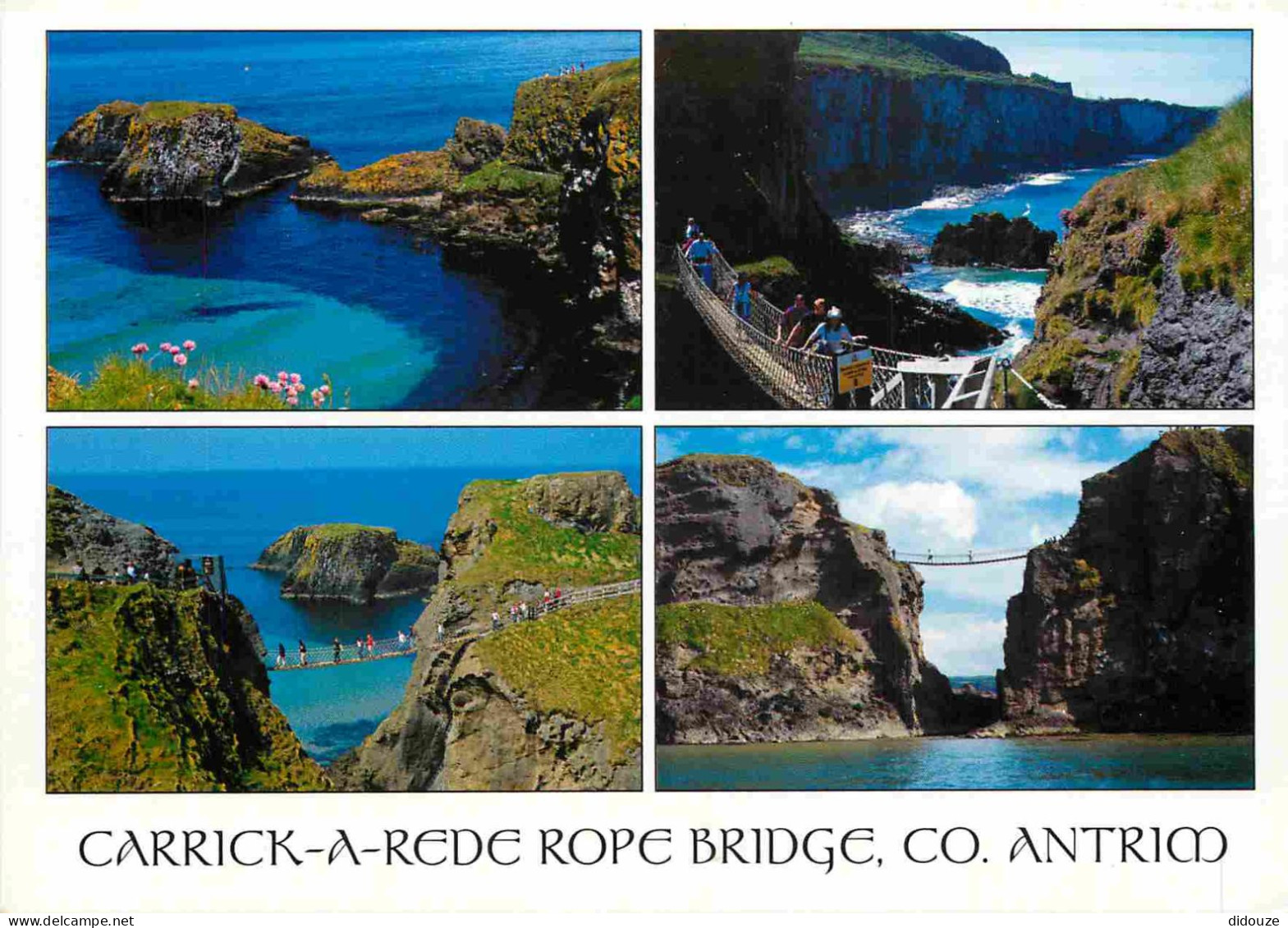 Irlande Du Nord - Antrim - Carrick A Rede Rope Bridge - Multivues - CPM - Voir Scans Recto-Verso - Antrim