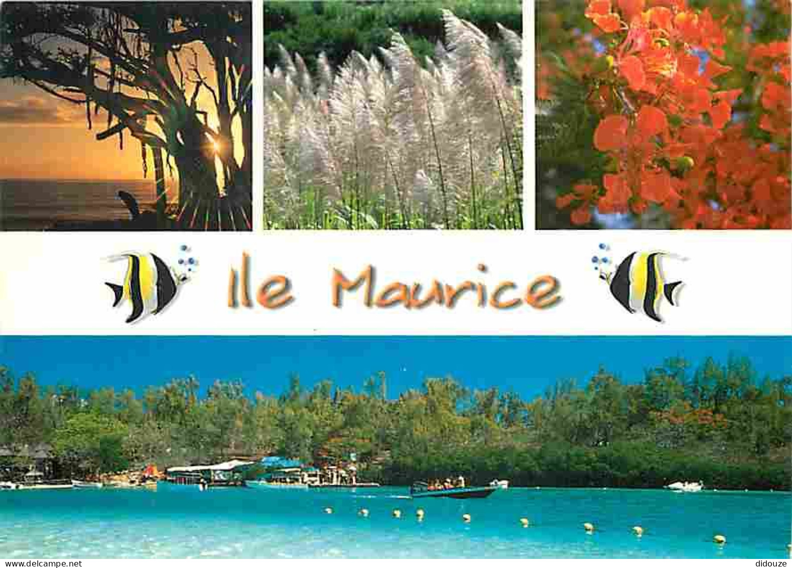 Ile Maurice - Multivues - CPM - Voir Scans Recto-Verso - Mauritius