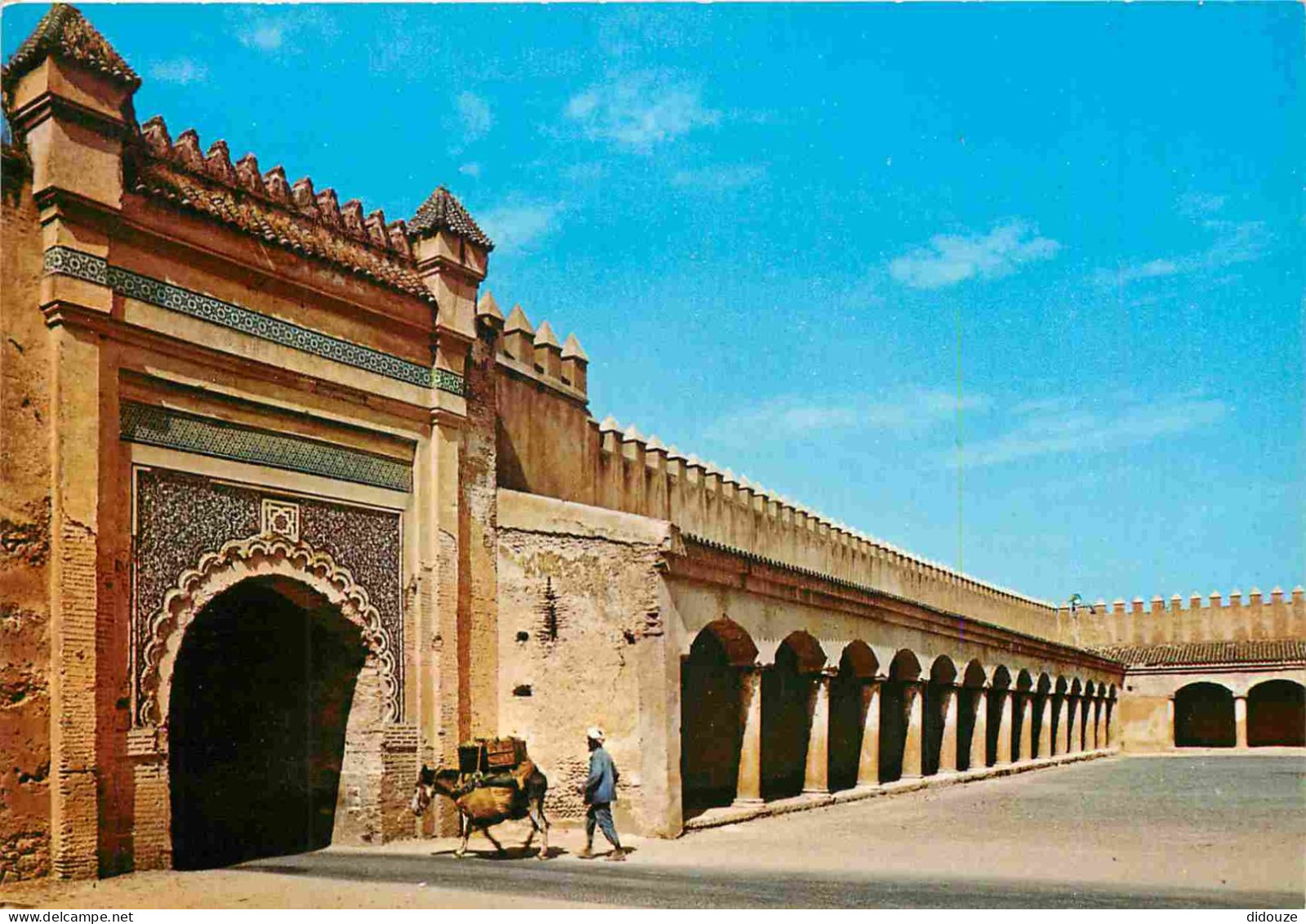 Maroc - Meknès - Anes - CPM - Carte Neuve - Voir Scans Recto-Verso - Meknes