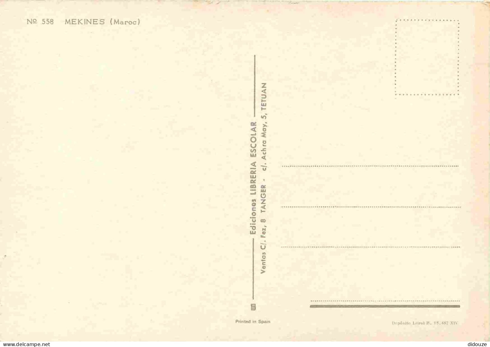 Maroc - Meknès - Anes - CPM - Carte Neuve - Voir Scans Recto-Verso - Meknes