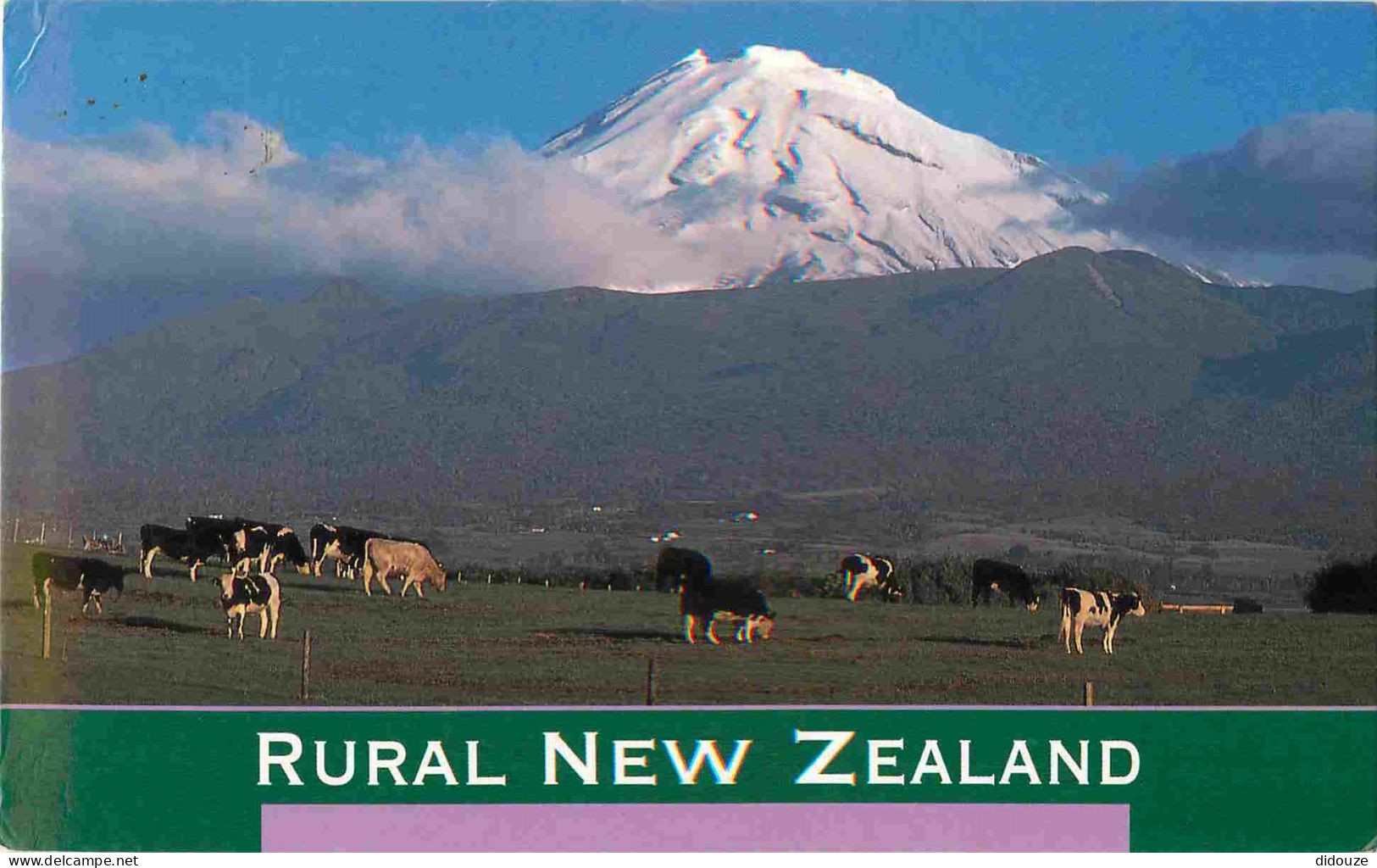 Animaux - Vaches - Nouvelle Zélande - New Zealand - The Lush Green Dairy Pastures Of Taranaki Dominated By The Majestic  - Vaches