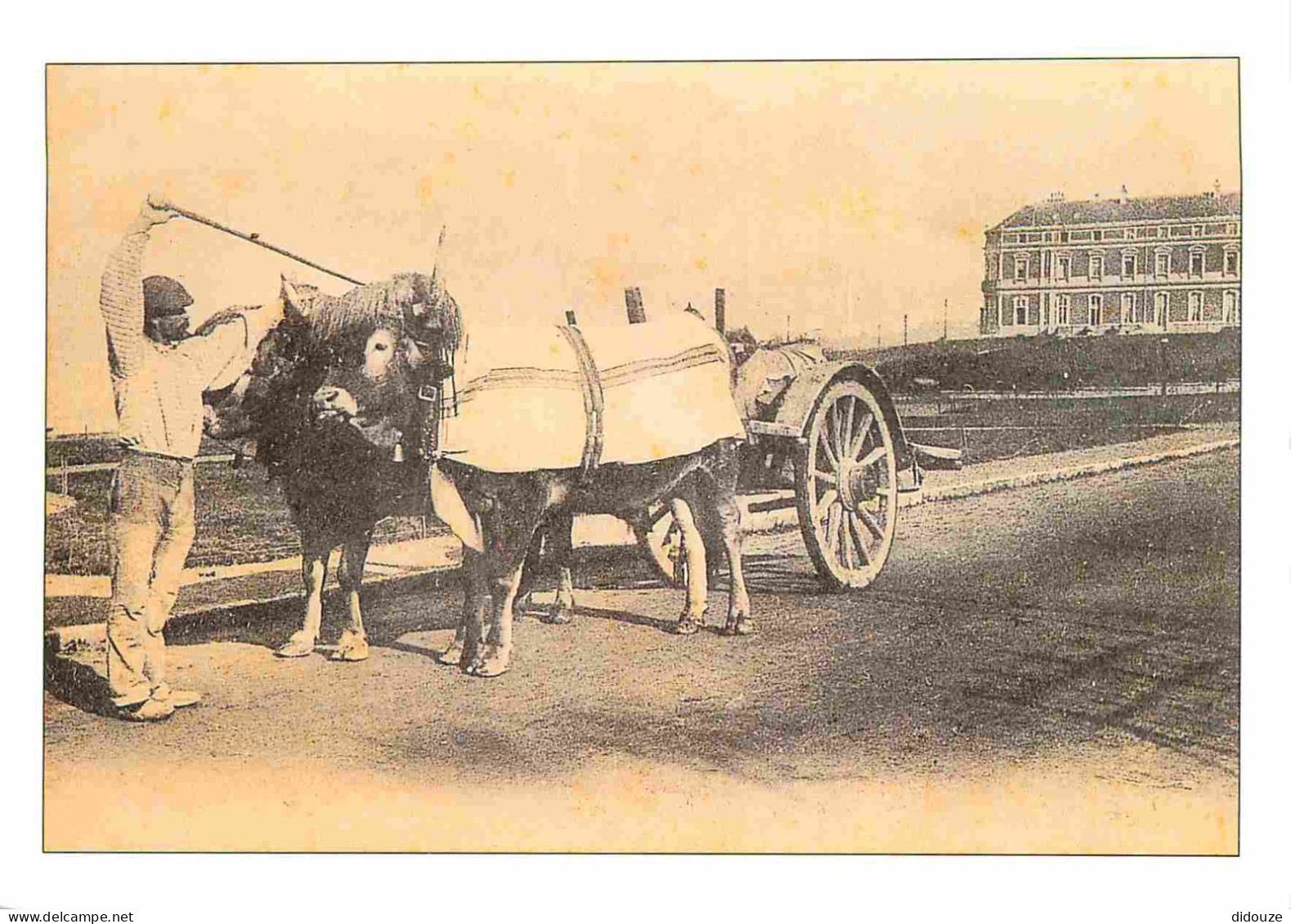 Animaux - Vaches - Reproduction De CPA - Biarritz à La Belle époque - Attelage De Bœufs Devant La Villa Eugénie - Hôtel  - Vacas