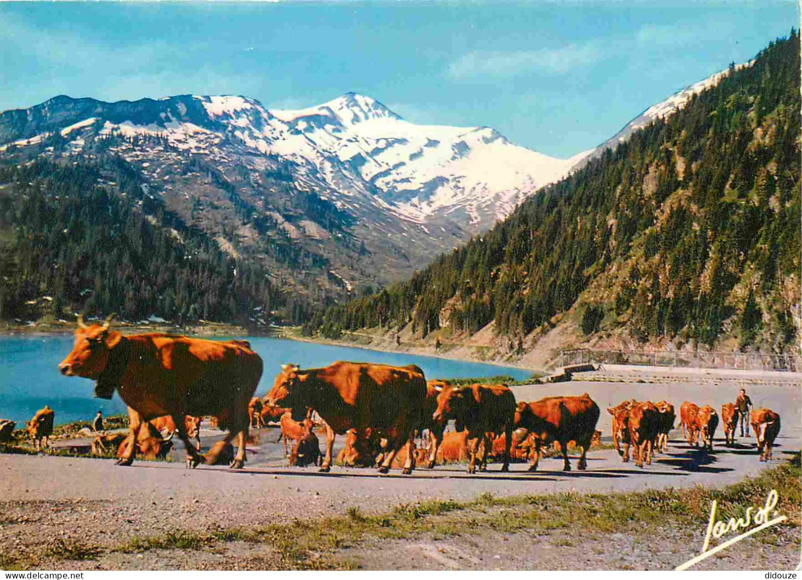 Animaux - Vaches - L'Eté Dans Nos Montagnes - En Route Vers Les Pâturages - CPM - Voir Scans Recto-Verso - Cows