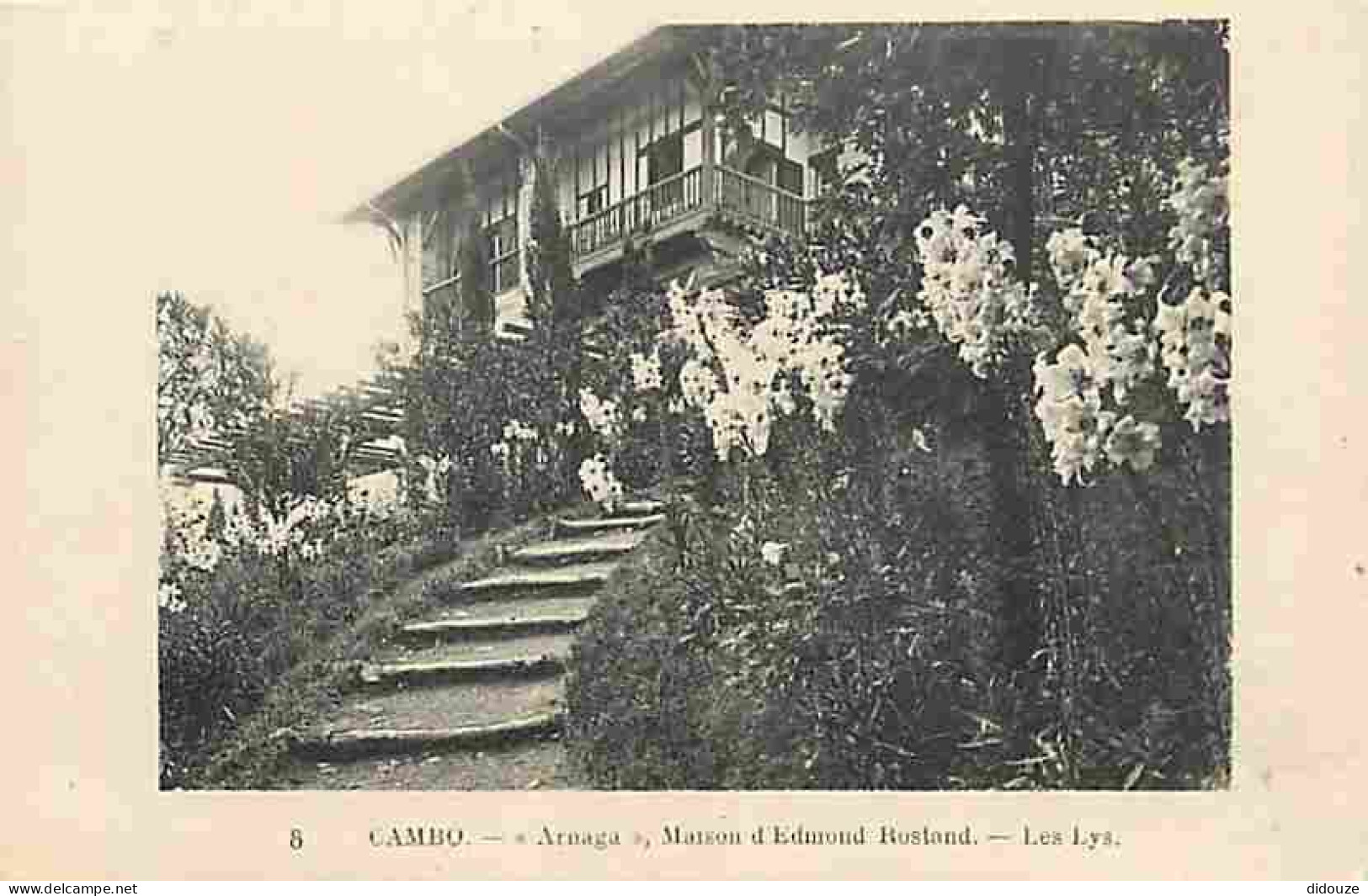 64 - Cambo Les Bains - Arnaga - Maison D'Edmond Rostand - Les Lys - Carte Neuve - CPA - Voir Scans Recto-Verso - Cambo-les-Bains