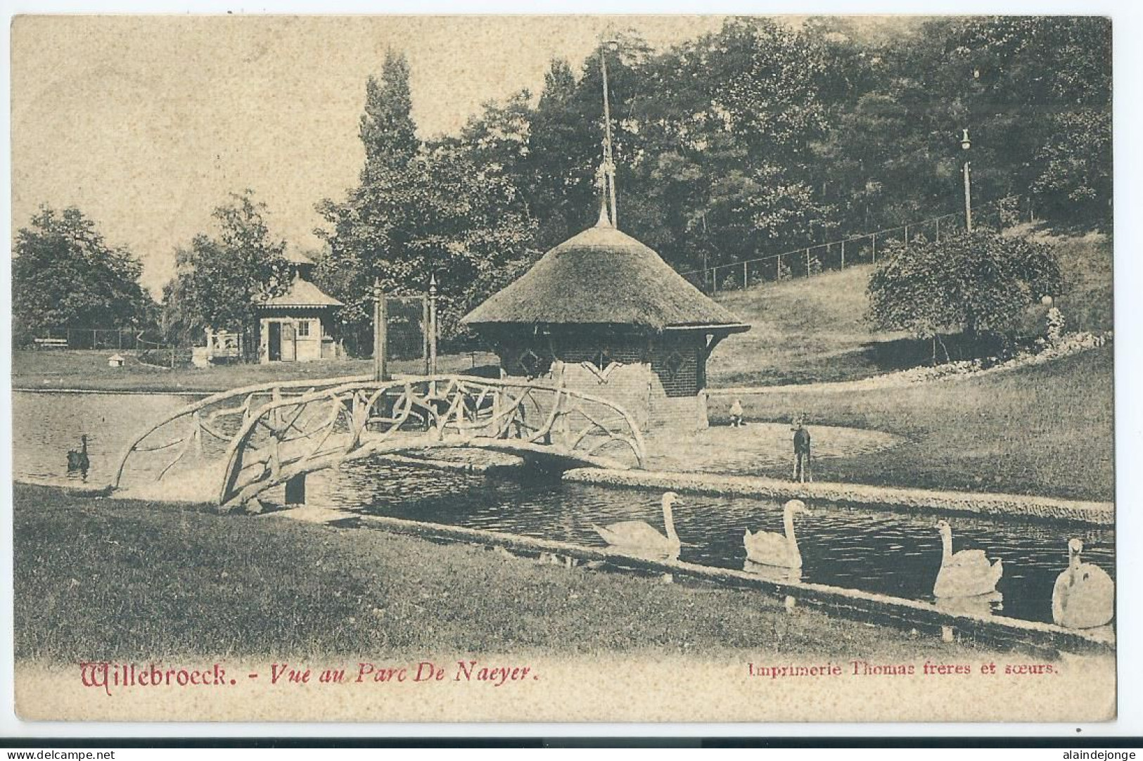 Willebroek - Willebroeck - Vue Au Parc De Naeyer  - Willebroek