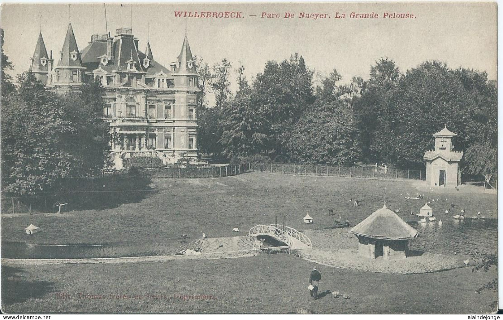 Willebroek - Willebroeck - Parc De Naeyer - La Grande Pelouse - 1909 - Willebrök